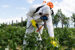Pesticide drift from other agricultural products can be a real problem for cannabis growers