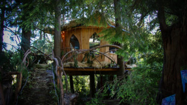 The Pot Leaf Tree House at Mountain Views Bed and Breakfast, a cannabis friendly “bud and breakfast” near Monroe, Washington. Heather Irwin/Sonoma Magazine