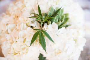 weed and weddings