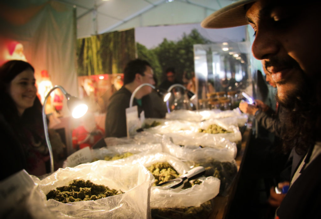Emerald Cup 2017 in pictures
